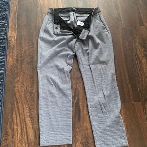 Express Dress Pants